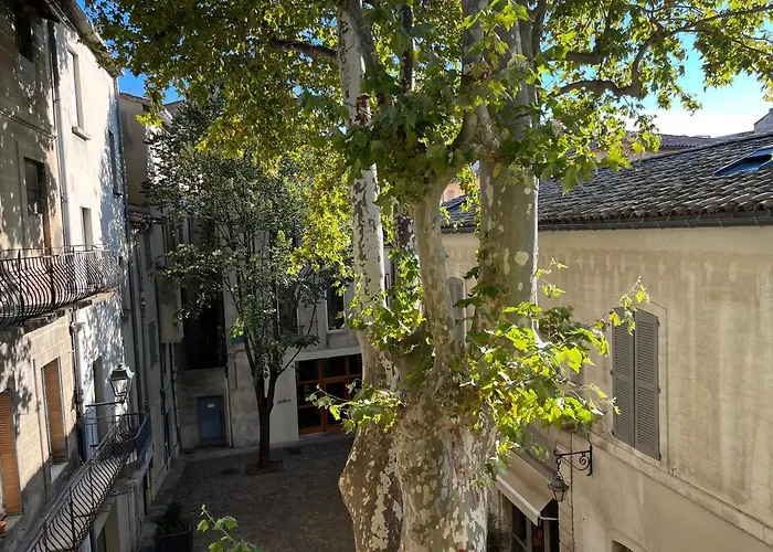 La charmante du Palais des Papes