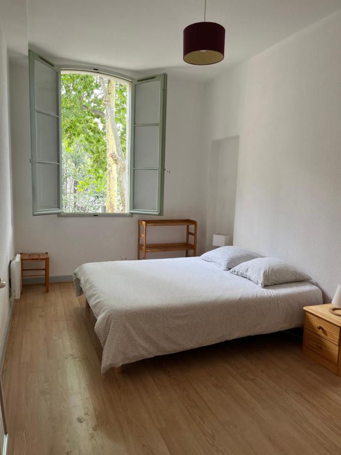 La Charmante Du Palais Des Papes Appartement Avignon