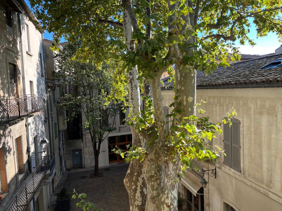 La Charmante Du Palais Des Papes Appartement *